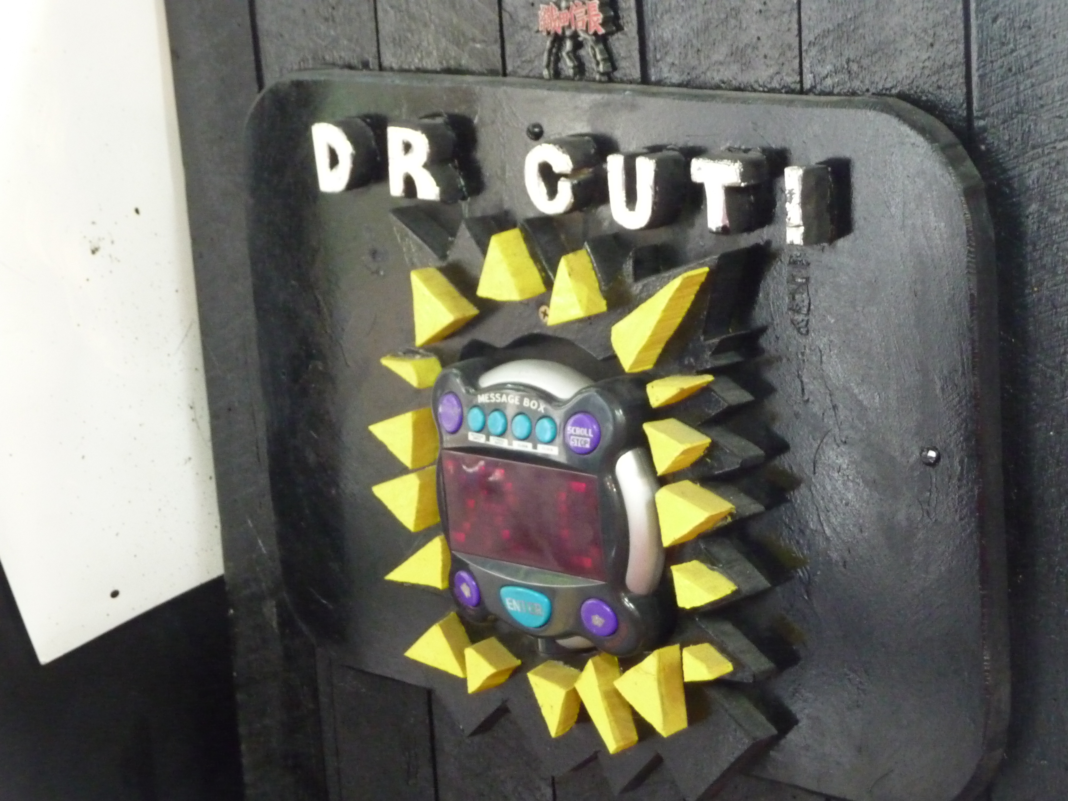 P1100199 PAYS VISITES