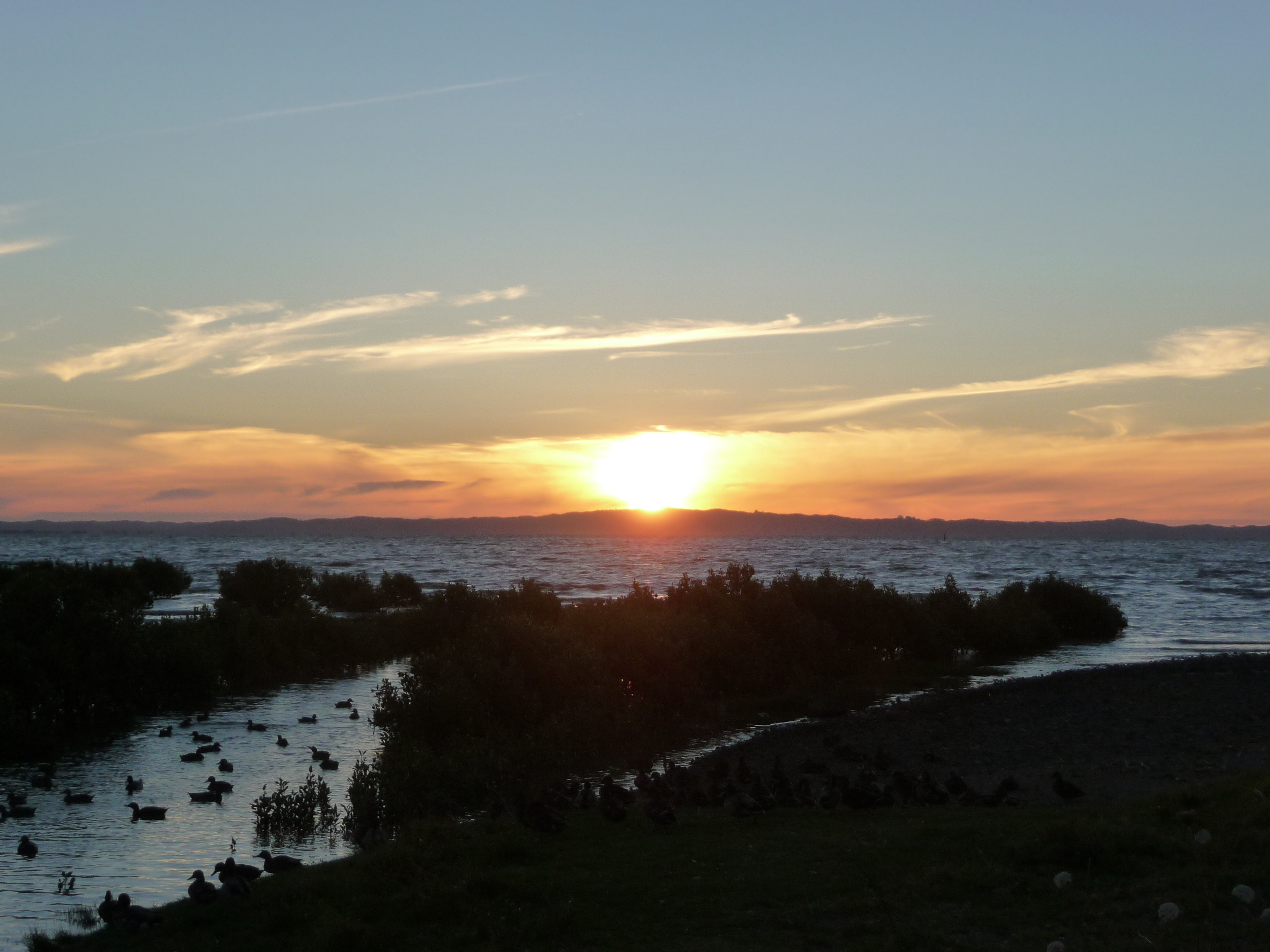 P1110782 PAYS VISITES