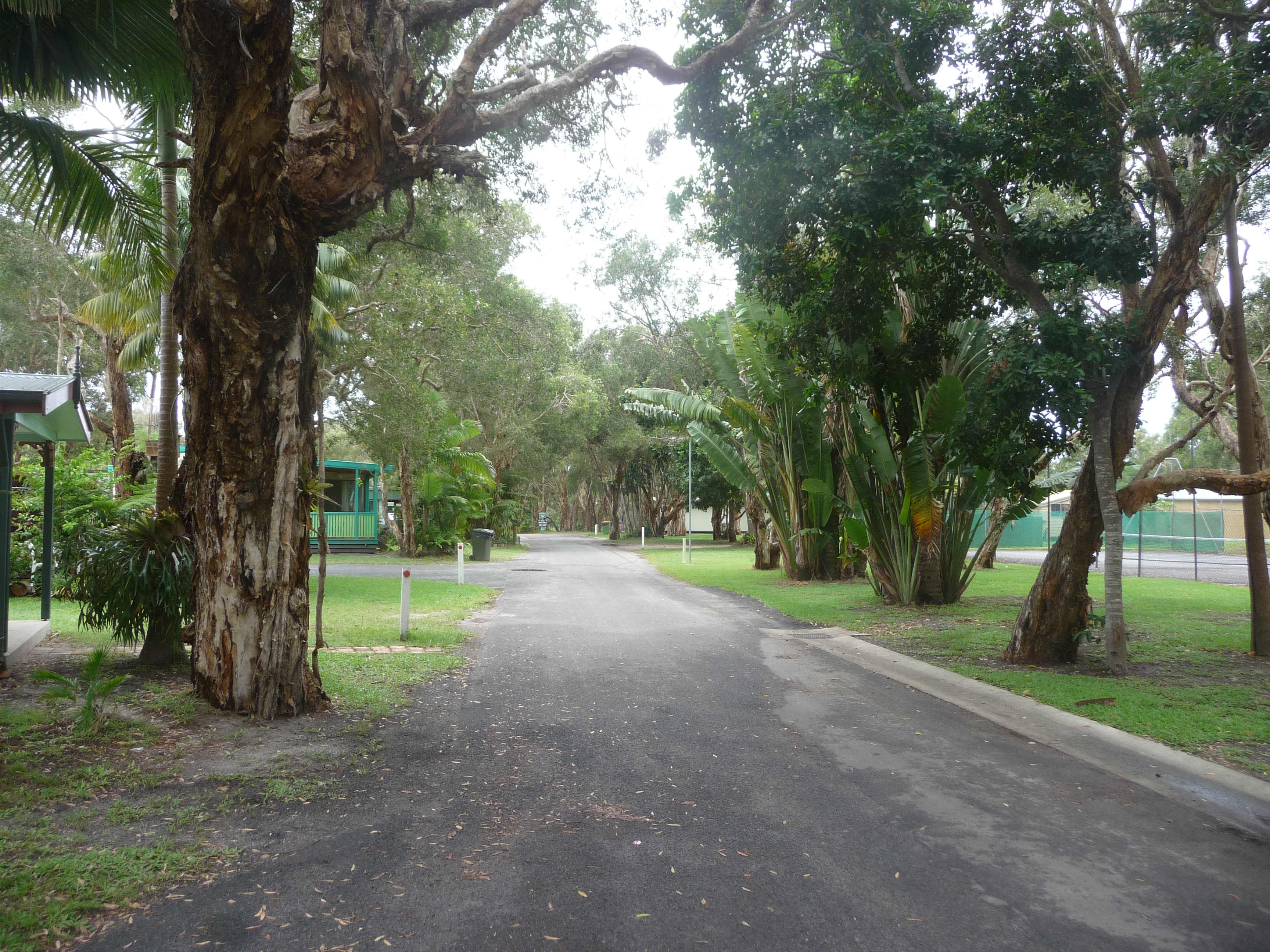 PAYS VISITES P1120232 PAYS VISITES