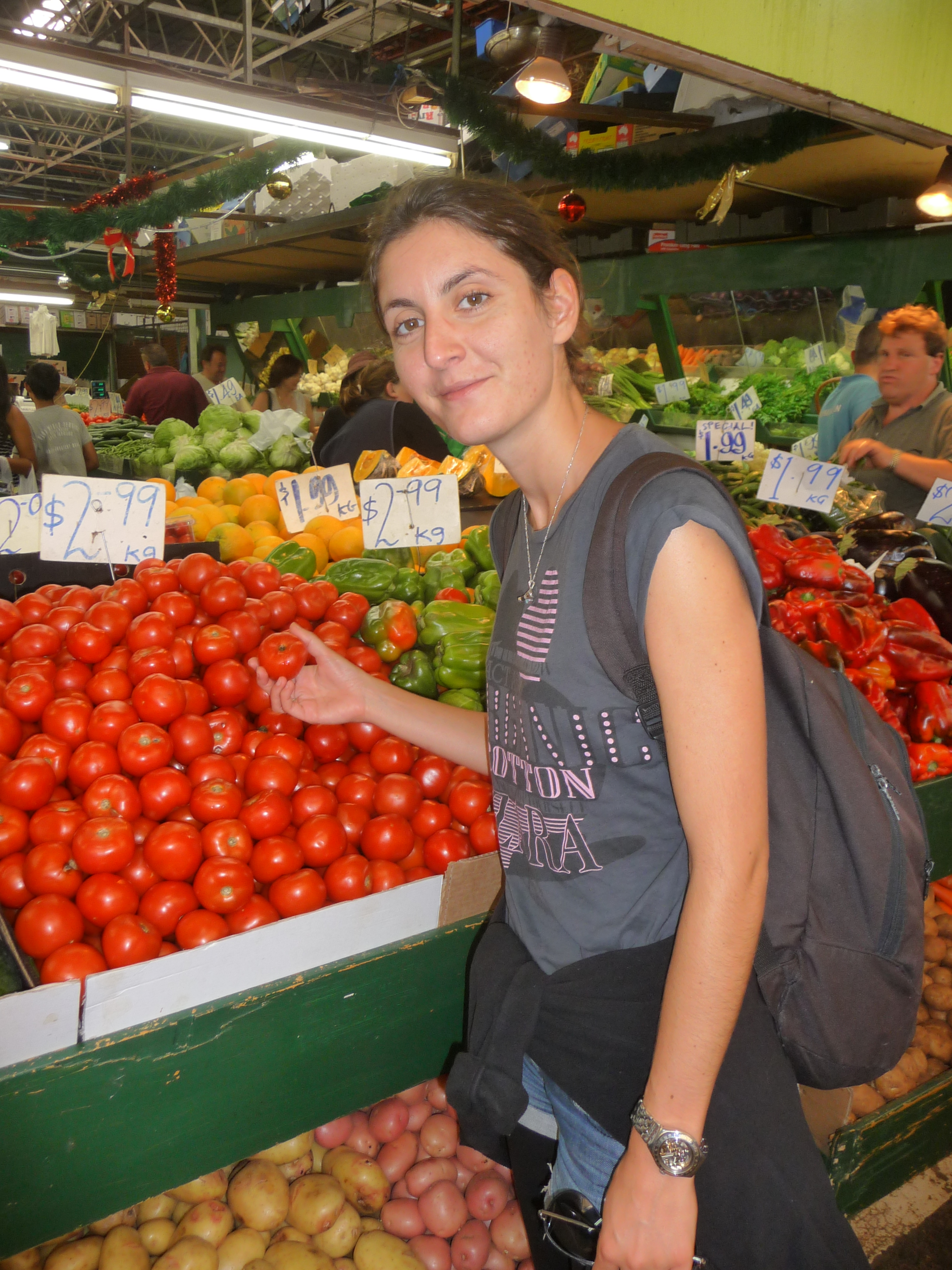 P1120749 PAYS VISITES