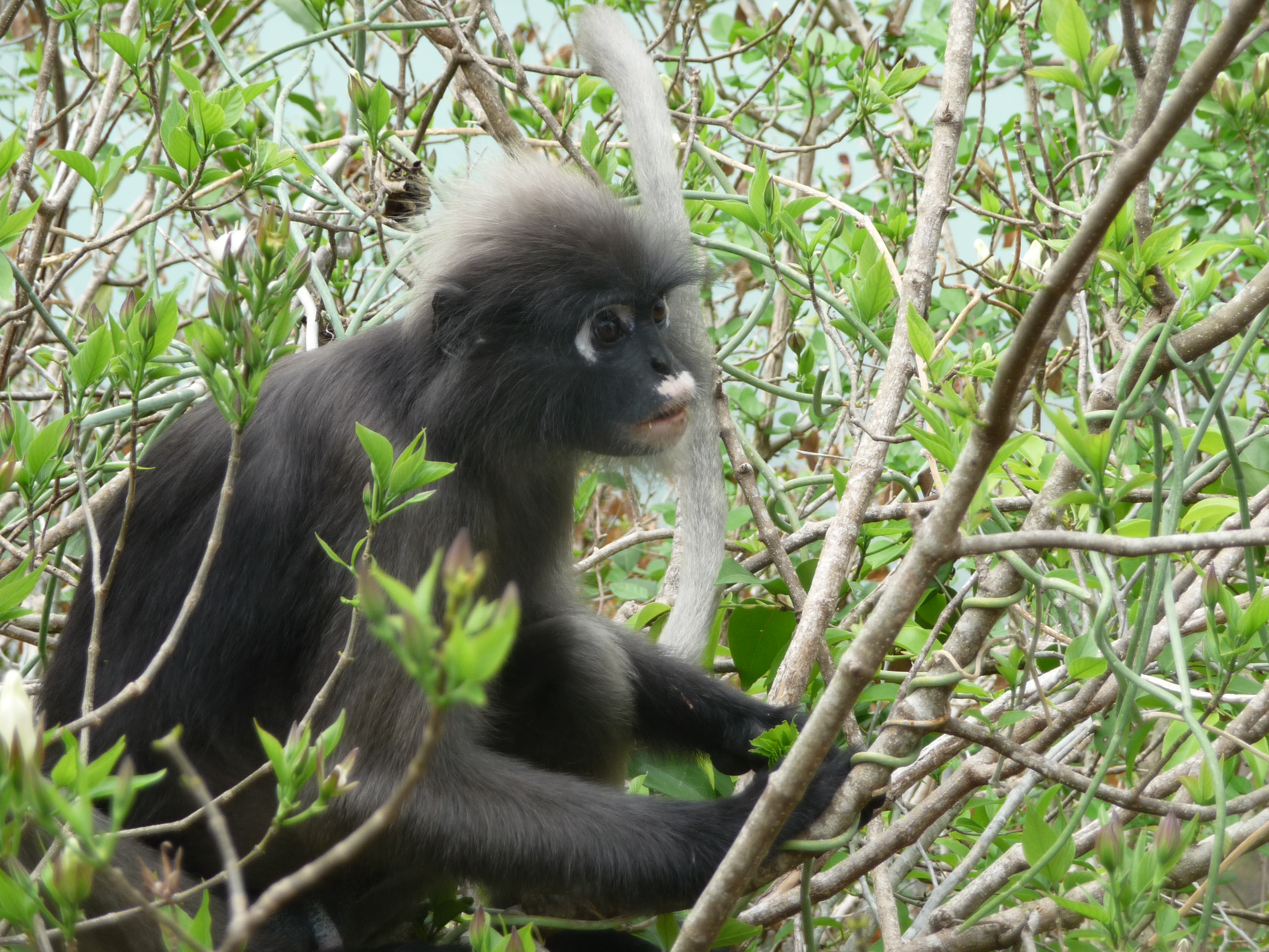 Le blog du voyage en famille P1150855 Le blog du voyage en famille