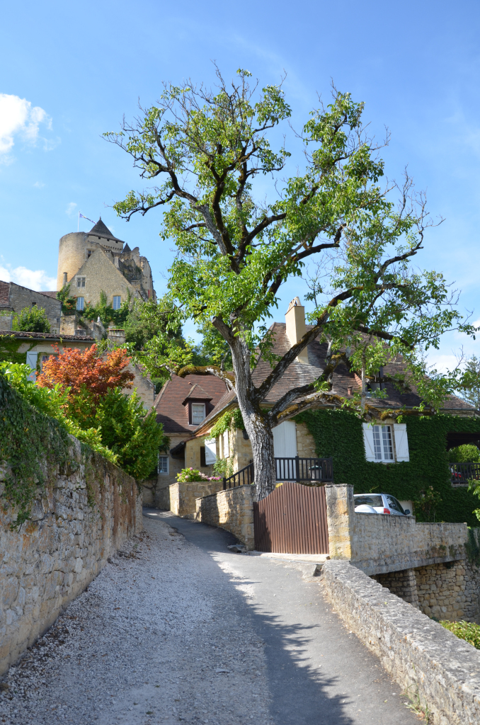 dsc 0508 Le blog du voyage en famille