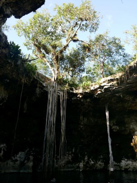Photos yucatan cenote santa barbara Que faire à Merida ?