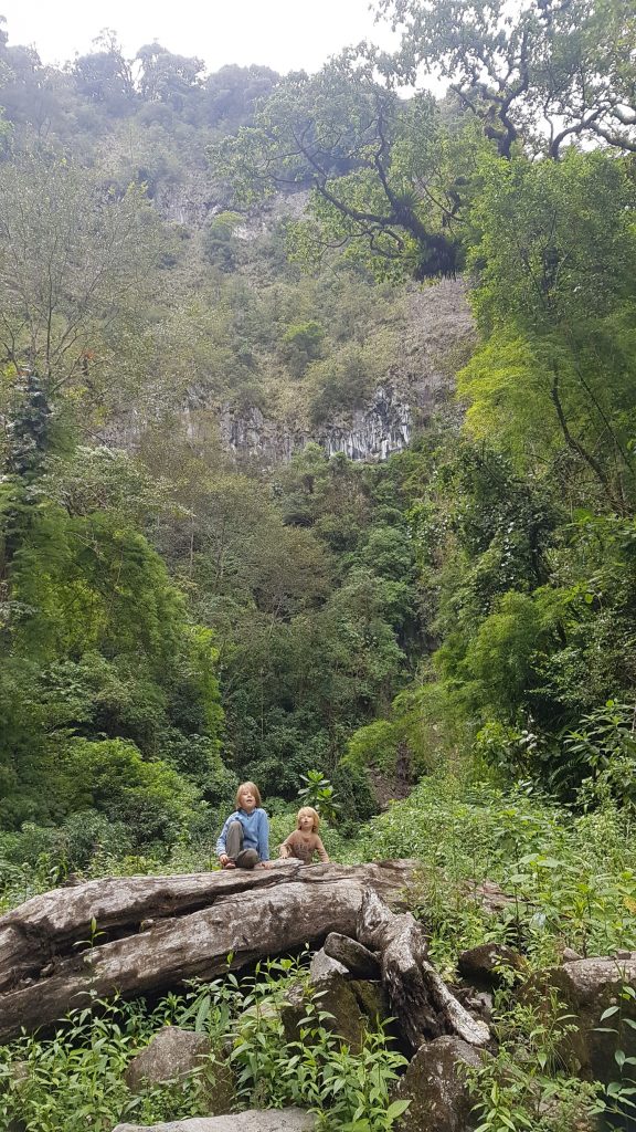 pipeline trail boquete 576x1024 A la découverte de la jungle du Panama
